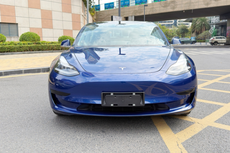 Tesla Model 3 2020 car image #3