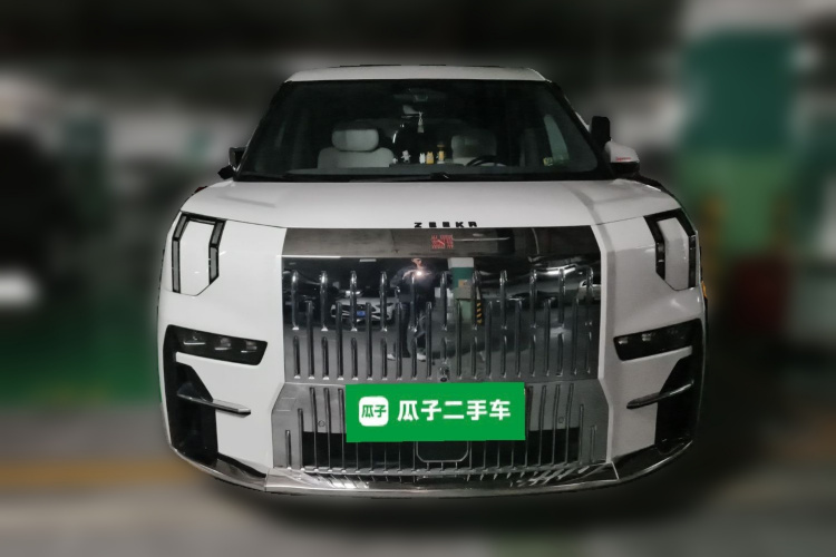 极氪 极氪009 2023 汽车图片 #3