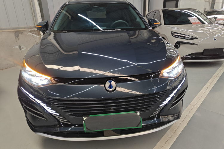 Denza N8 2023 imagen de coche #3