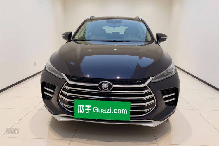 BYD Tang New Energy 2019 car image #3