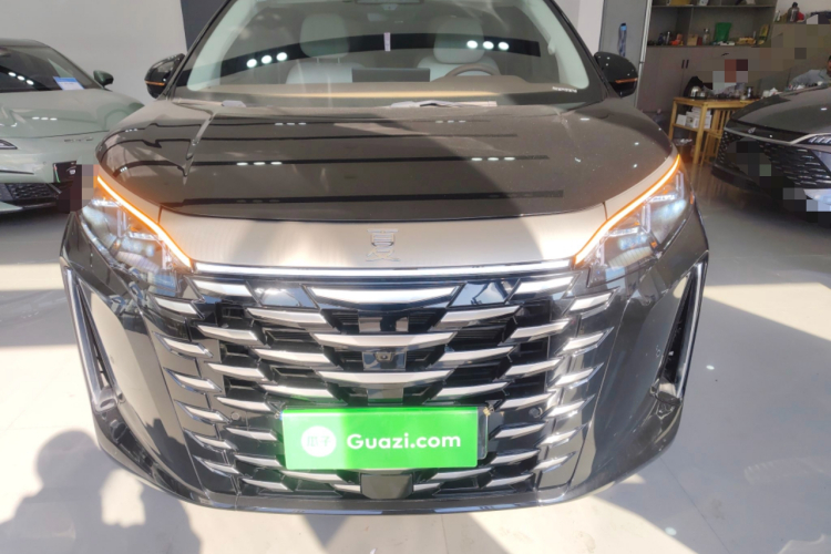 BYD Xia 2024 imagen de coche #3