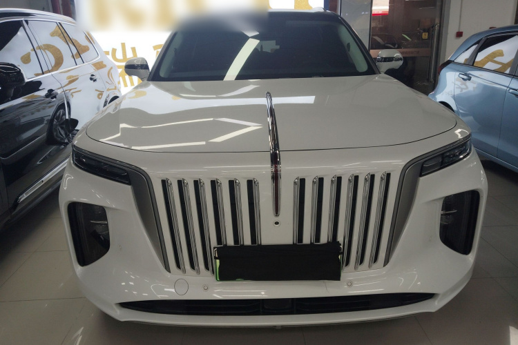 HongQi E-HS9 2023 #3 HongQi E-HS9 2023 car image #3