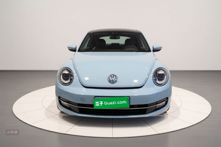 Volkswagen Beetle 2014 immagine di auto #3
