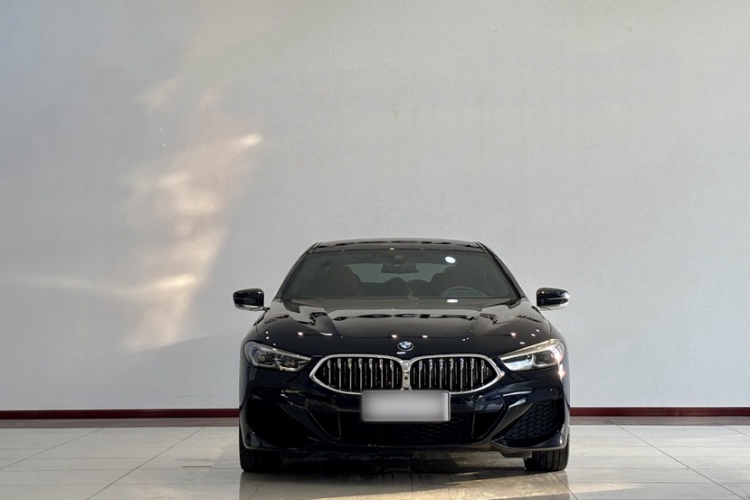 BMW 8 Series 2022 #3 BMW 8 Series 2022 car image #3