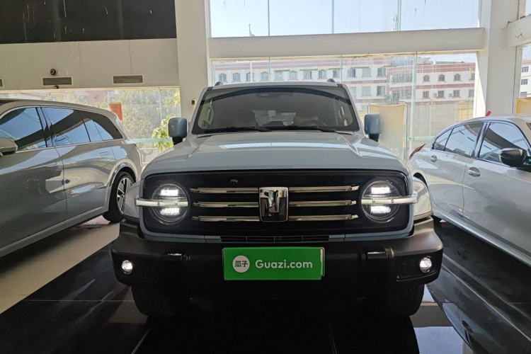 Tank 300 New Energy 2024 car image #3