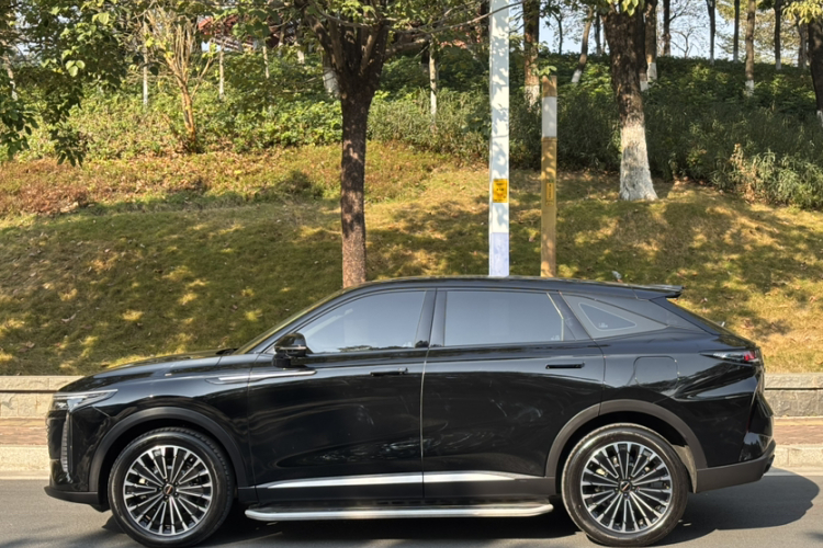 Exceed Yaoguang C-DM 2024 car image #3