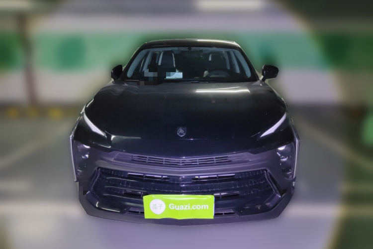 Forthing T5 EVO 2024 car image #3