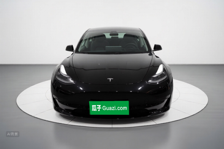 Tesla Model 3 2021 car image #3