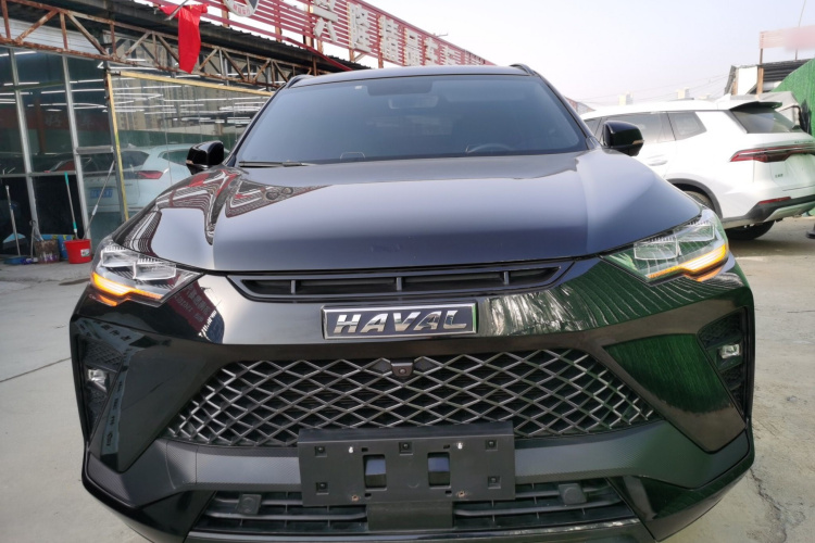 Haval H6S 2023 immagine di auto #3