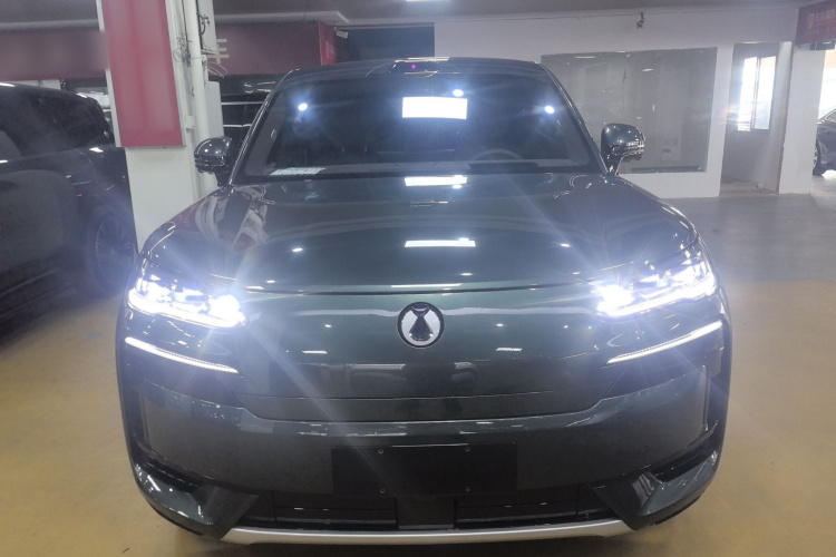 Denza N9 2025 immagine di auto #3