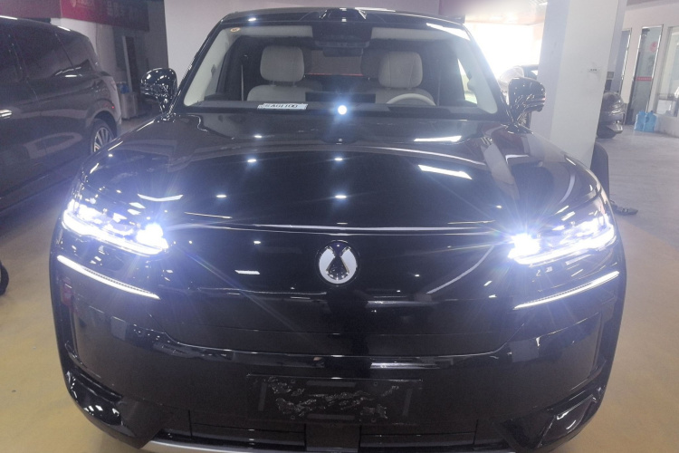 Denza N9 2025 #3 Denza N9 2025 صورة سيارة #3