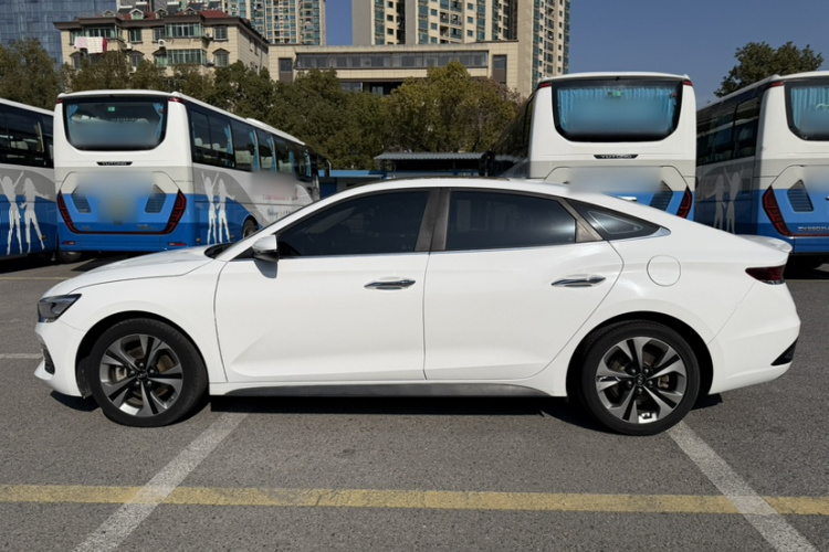 Hyundai Lafesta 2020 immagine di auto #3