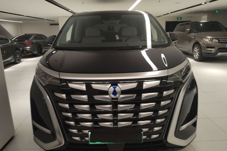 腾势 腾势D9 2023 汽车图片 #3