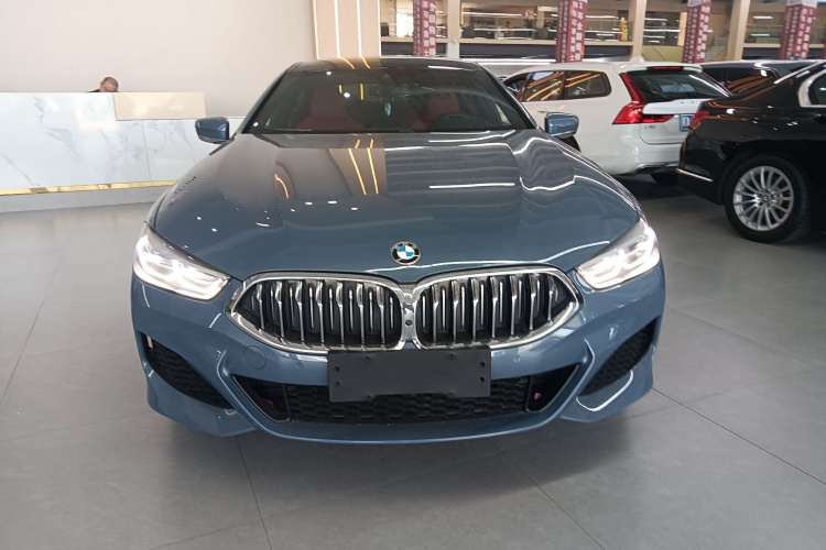 BMW 8 Series 2021 #3 BMW 8 Series 2021 car image #3