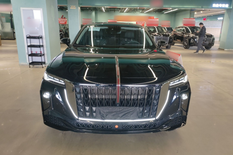 HongQi H9 2025 #3 HongQi H9 2025 car image #3