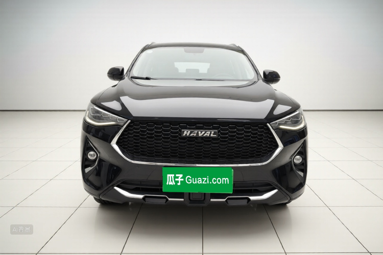 Haval F7 2019 car image #3