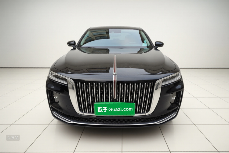 HongQi H9 2021 car image #3