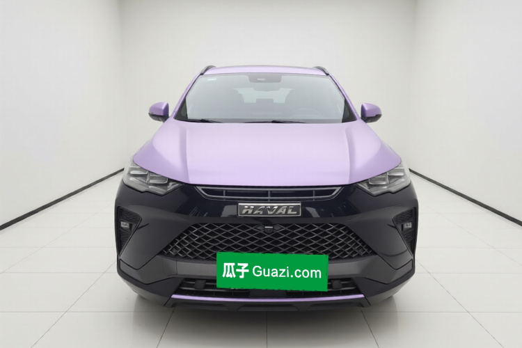 Haval H6S 2022 immagine di auto #3