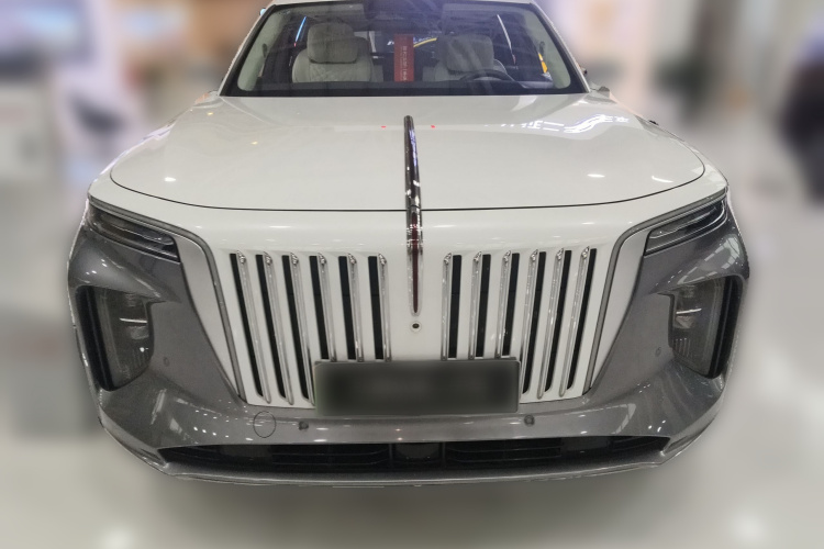 HongQi E-HS9 2023 car image #3