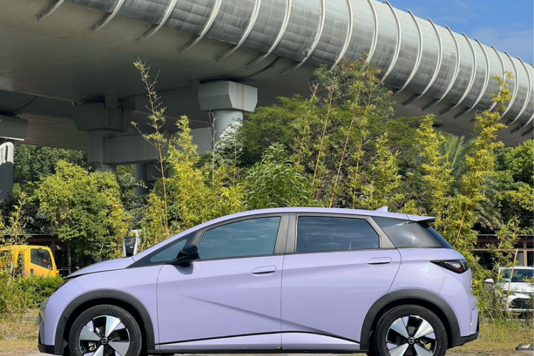 BYD Dolphin 2023 car image #3