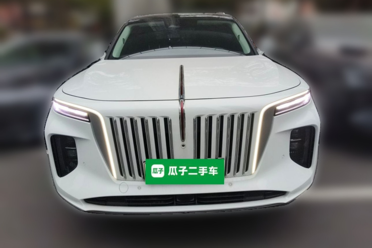 HongQi E-HS9 2023 imagem de carro #3