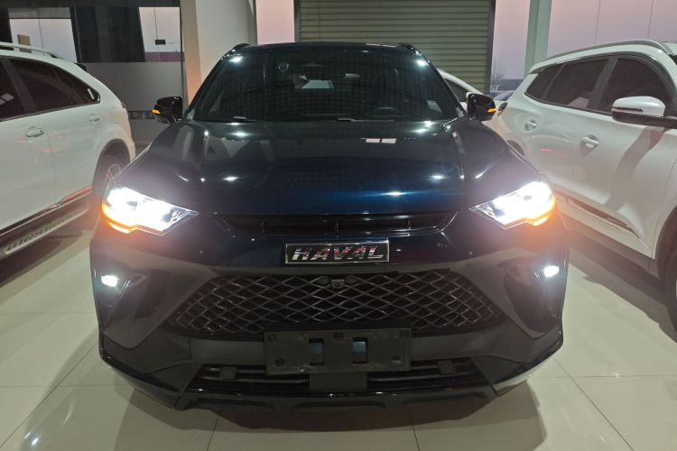 Haval H6S 2022 immagine di auto #3