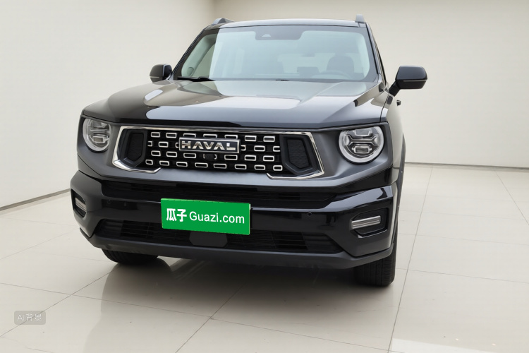 Haval Dargo 2 2023 car image #3