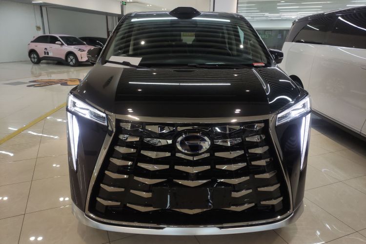 GAC Trumpchi Xiangwang M8 2025 car image #3