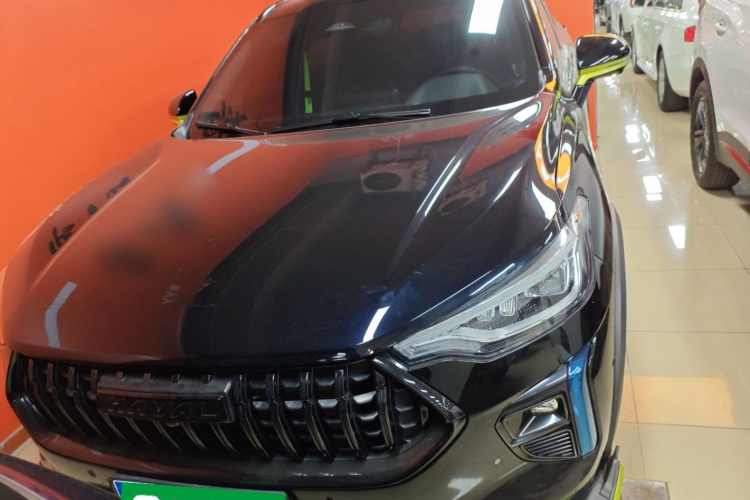 Haval Rabbit 2021 car image #3