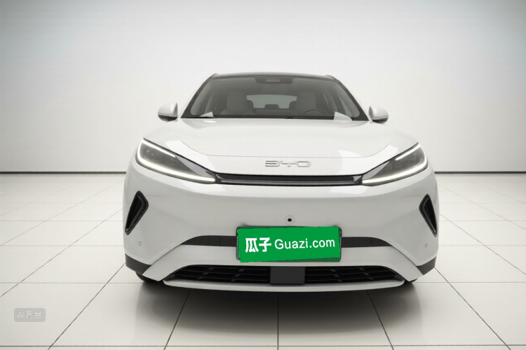 BYD Sea Lion 05 EV 2025 car image #3