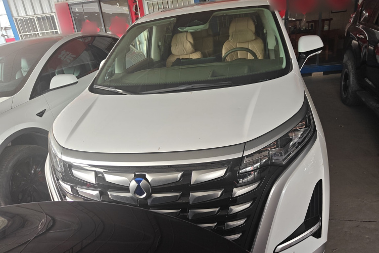 Denza D9 2023 immagine di auto #3