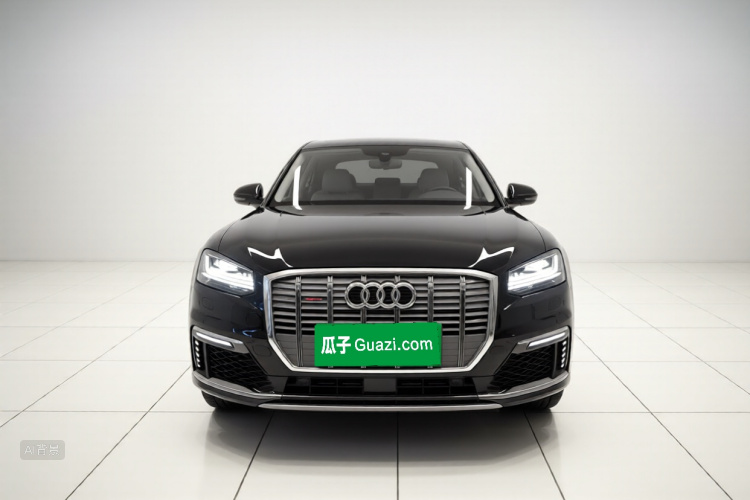 奥迪Q2L e-tron 2020 汽车图片 #3