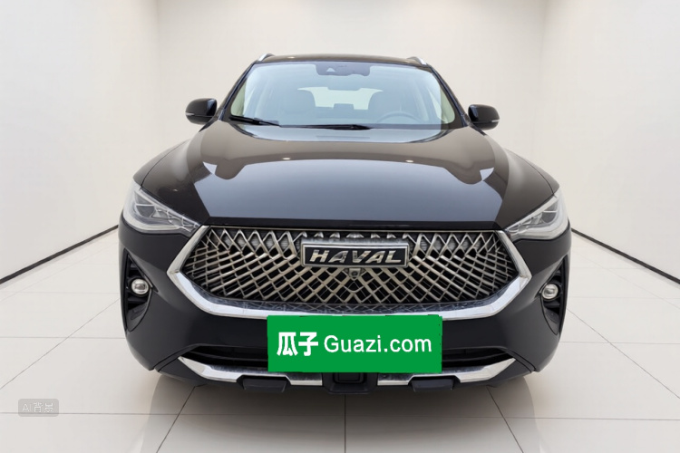 Haval F7x 2021 immagine di auto #3