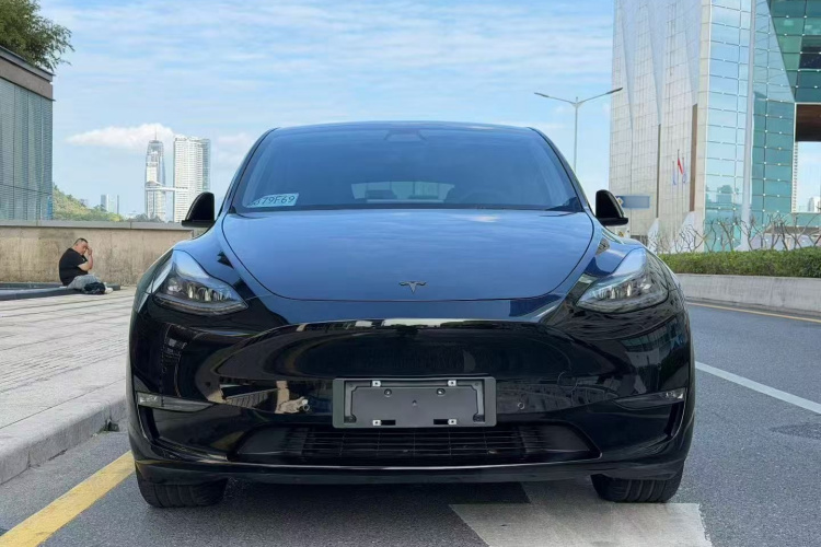 Tesla Model Y 2021 #3 Tesla Model Y 2021 car image #3