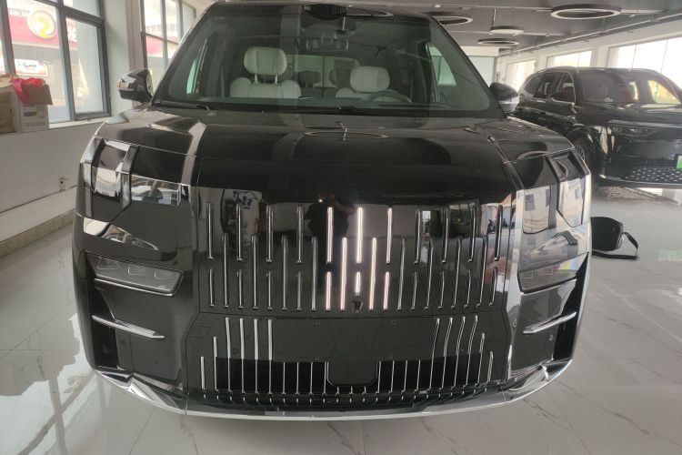 极氪 极氪009 2025 汽车图片 #3