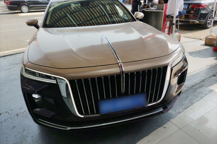 HongQi H9 2022 immagine di auto #3