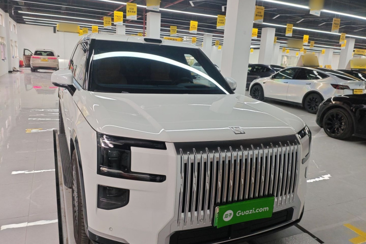 极氪 极氪9X 2025 汽车图片 #3