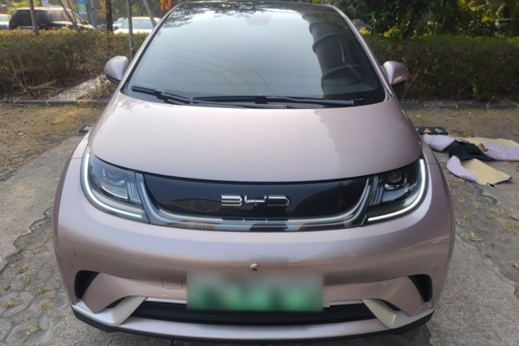 BYD Dolphin 2023 car image #3