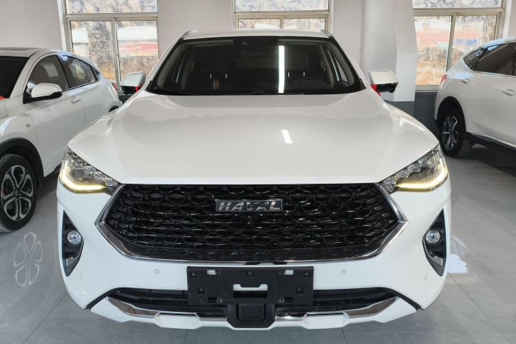 Haval F7x 2020 car image #3