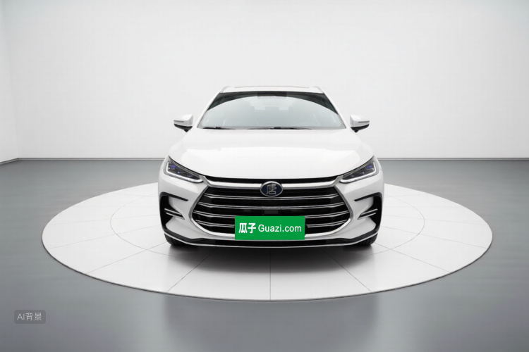 BYD Tang New Energy 2021 car image #3