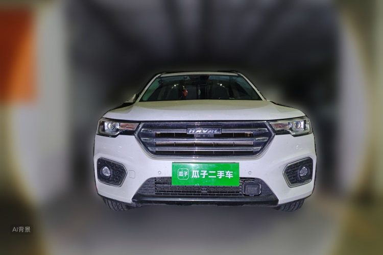 Haval H7 2021 car image #3