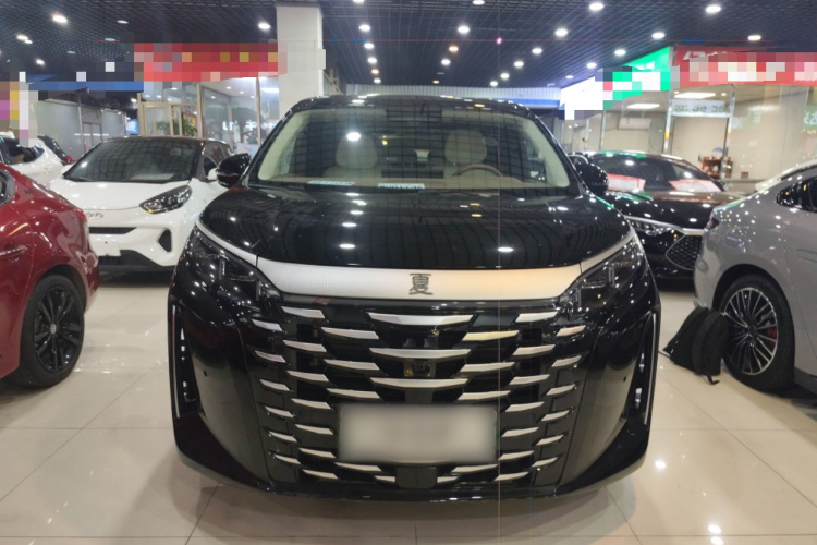 BYD Xia 2024 imagen de coche #3