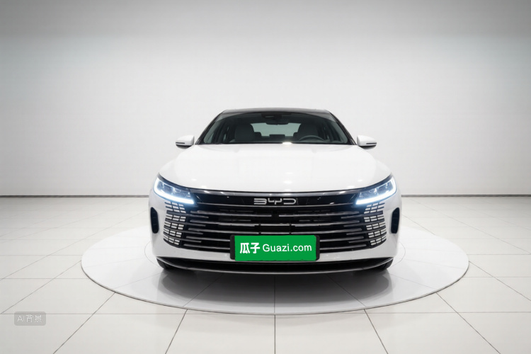 BYD Destroyer 05 2024 car image #3