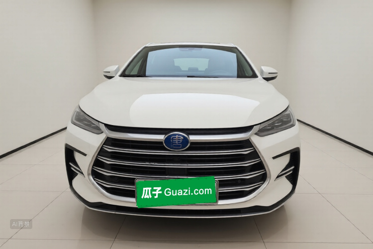 BYD Tang New Energy 2020 car image #3
