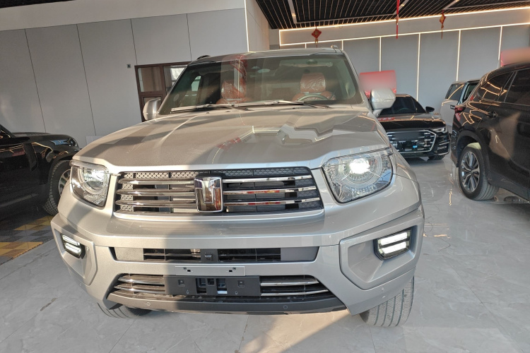 Tank 700 New Energy 2025 #3 Tank 700 New Energy 2025 immagine di auto #3