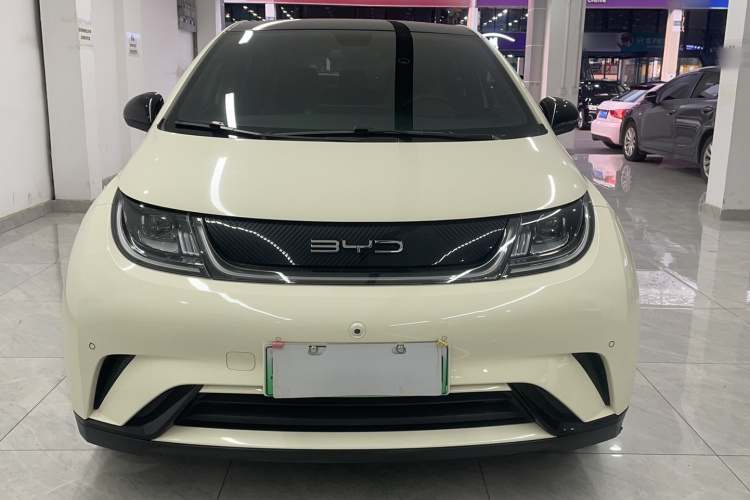BYD Dolphin 2023 car image #3