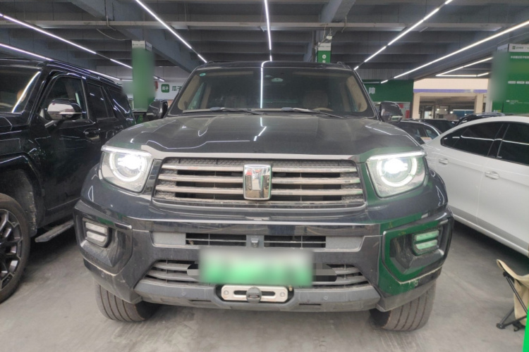 Tank 700 New Energy 2024 immagine di auto #3