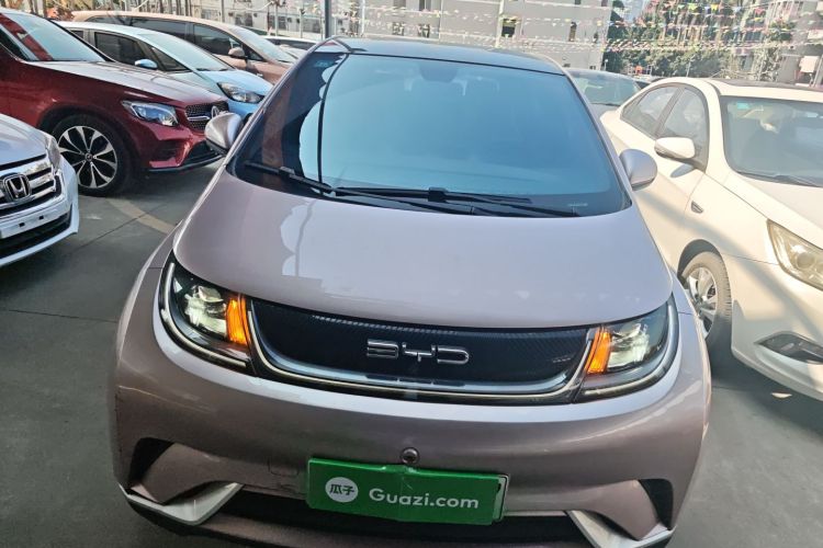 BYD Dolphin 2022 #3 BYD Dolphin 2022 car image #3