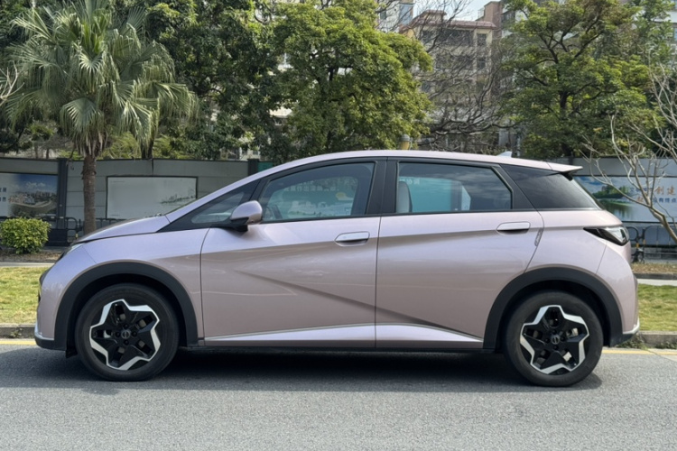 BYD Dolphin 2023 car image #3