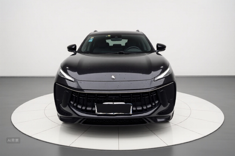 T5 EVO 2021 car image #3